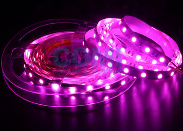 De 5050 LEIDENE Strook steekt Roze Kleur 25000K, 12/24 Volts Geleide aan Lichte Stroken 12mm FPC
